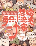 想给流浪猫咪一个家说说