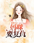 爹地小心:妈咪要复仇