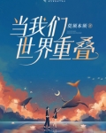 世界重叠小说