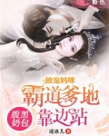 腹黑独宠小说