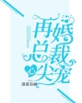 再婚总裁心尖宠