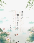 清穿之苏格格晋升路