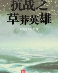 抗战之草莽英雄小说
