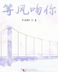 等风吻你
