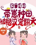 农门悍女:带着空间去种田