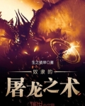 奴隶的屠龙之术