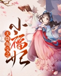 天降淘宝之小福妃