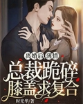 离婚后总裁崩溃了
