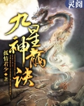 九星神龙诀