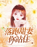 落跑甜妻误惹高冷总裁