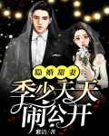 隐婚甜妻,季少天天闹公开
