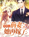 离婚后前妻她再嫁了全文免费阅读无广告