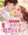 替嫁新娘神秘老公超凶