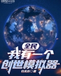 全民：我有一个创世模拟器