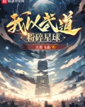 我以武道粉碎星球 小说 笔趣阁