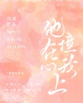 他撞在我心上小说免费阅读
