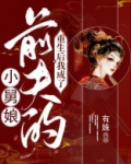 重生后我成了前夫的小舅娘 有姝