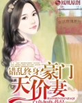 错乱终身：豪门天价妻