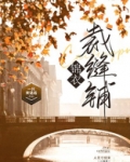 锦衣裁缝铺小说