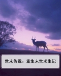 末世传奇小说
