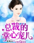 总裁的掌心宠儿