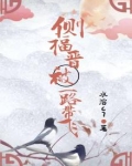 侧福晋被一路带飞