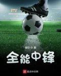 全能中锋txt