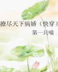 撩尽天下病娇