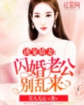 闪婚老公别乱来