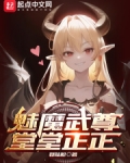 魅尊魅世魔羽