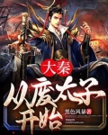 大秦,从废太子开始 黑色风暴小说