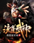 流星武神笔趣阁