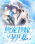 独宠马甲格式