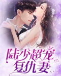 陆少超宠复仇妻免费阅读