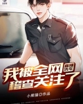 直播洗车:我被全网稽查关注了
