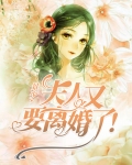 陆总夫人又要离婚了