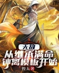 无敌：从继承满命钟离模板开始