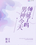男神今天领证了吗 小说