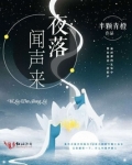夜落闻声来小说简介