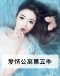 爱情公寓第五季百度云