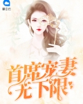 四爷宠妻无下限免费阅读