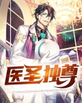 医圣独尊陆风
