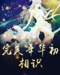 完美年华初相见叶咏风