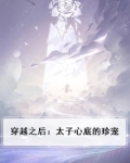 穿越后太子妃成宠夫狂魔了