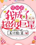毕业后我成了超级巨星