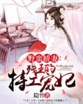 残王的特工宠妃