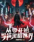 从零开始的黑暗游戏 小说