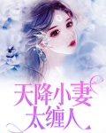 天降小妻强势宠