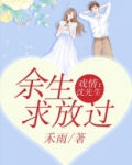 戏情：沈先生，余生求放过
