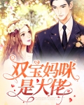 双宝妈咪是大佬